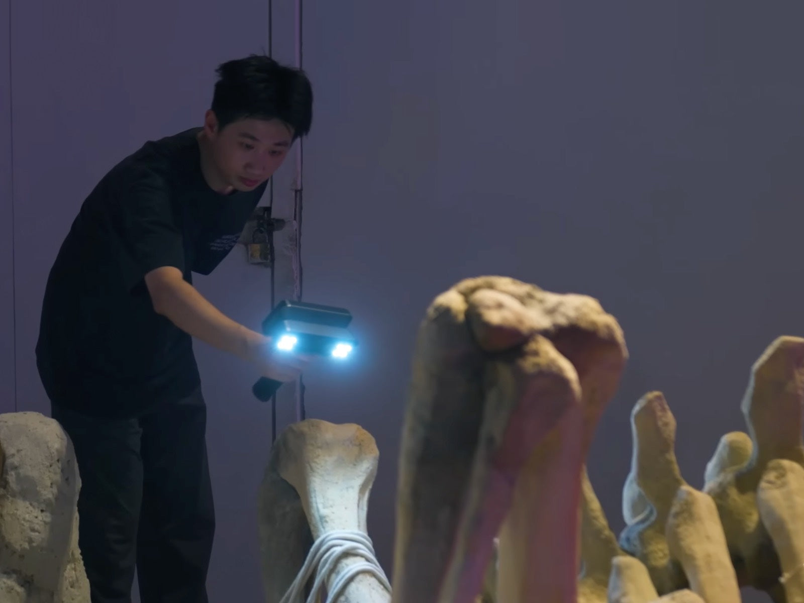 How Do Professional 3D Scanners Differ From Consumer Models?